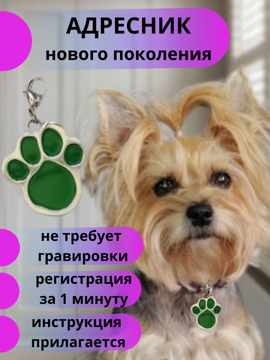Адресник- брелок на ошейник с QR кодом для собак и кошек Лапка Зеленая2