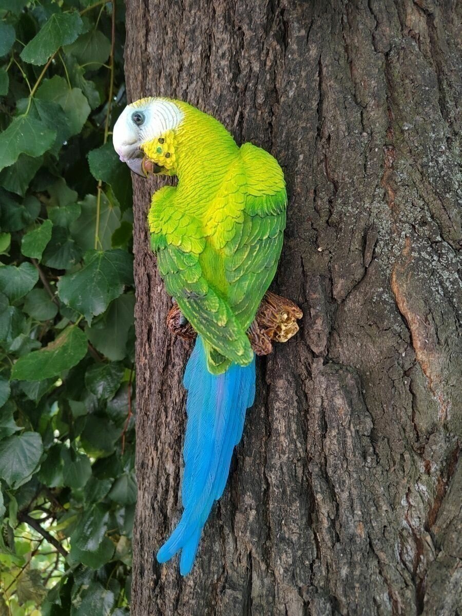 фото Фигурка садовая, попугай подвесной на дерево, фигура на стену , декор для дачи, красивый попугай