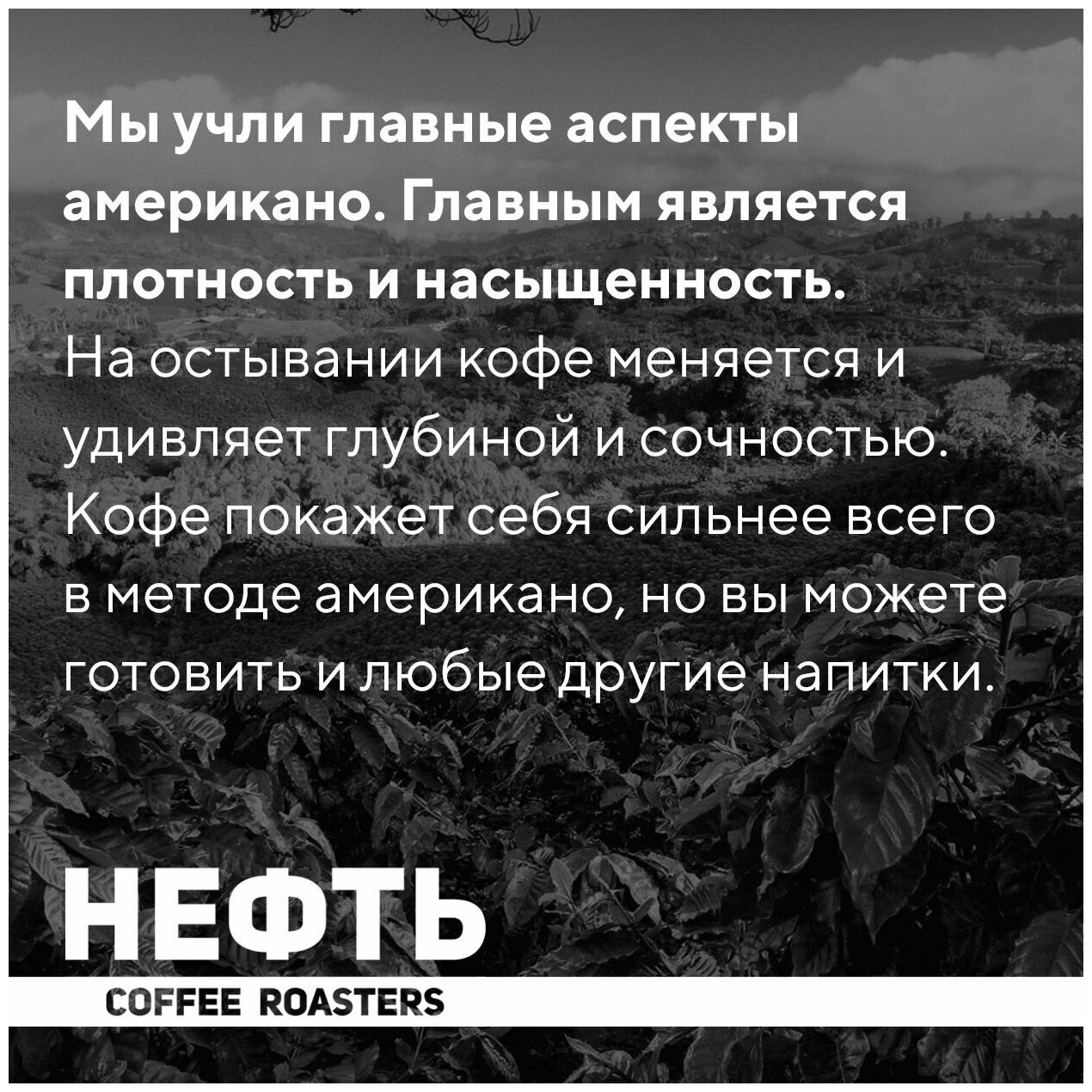 Нефть coffee Americano Top кофе в зернах 250 грамм , 100% арабика - фотография № 3