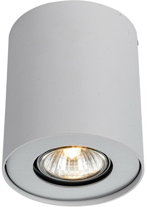 Потолочный светильник Arte Lamp FALCON A5633PL-1WH