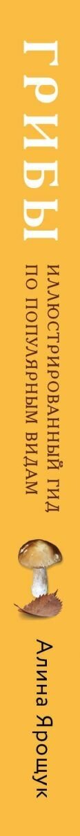 Грибы. Иллюстрированный гид по популярным видам - фото №17