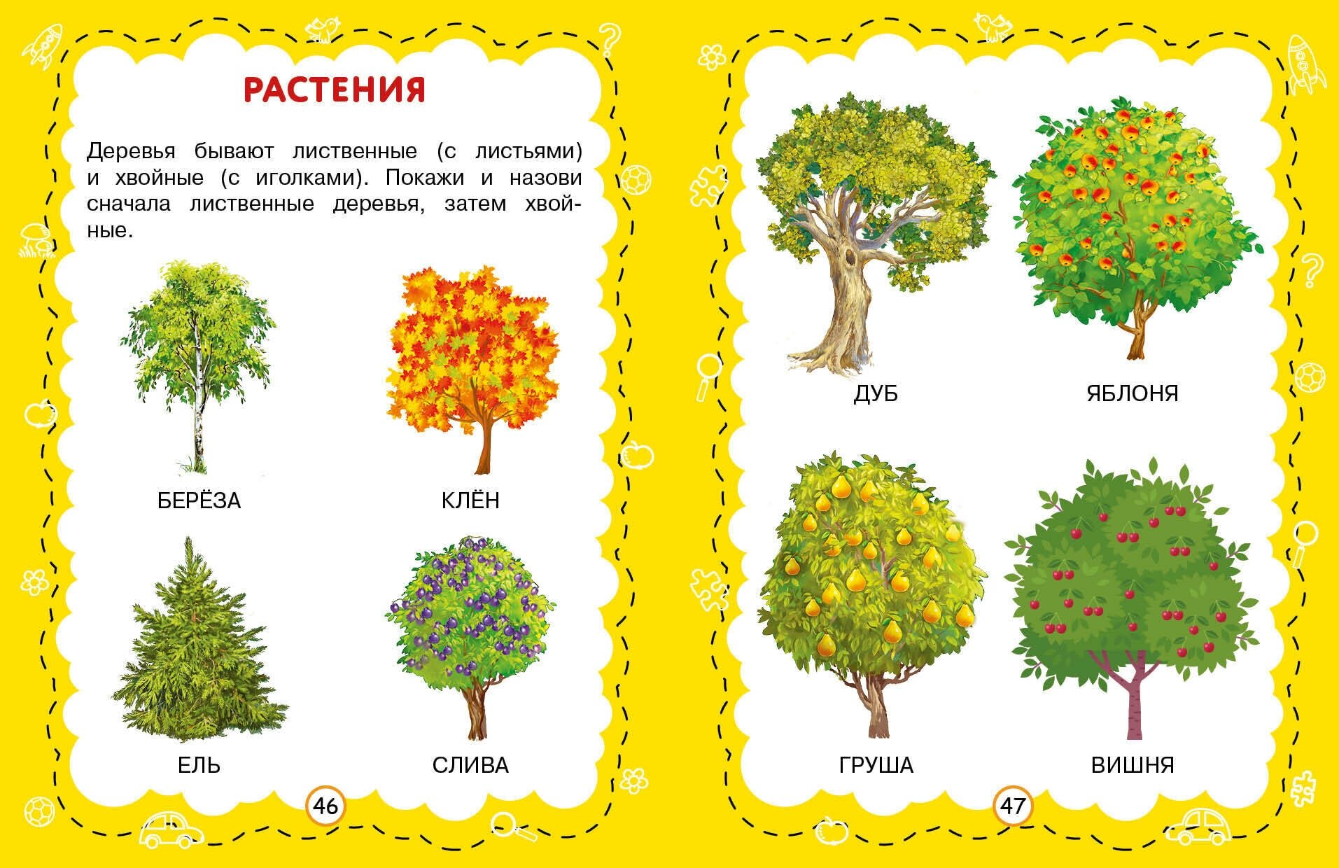 Познаем мир (Чернова Татьяна Анатольевна) - фото №6