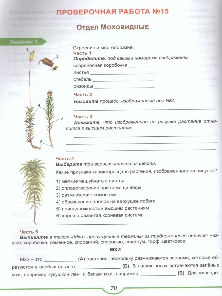 ВПР Биология. 6-7 классы. Растения. Тренажёр для обучающихся - фото №3
