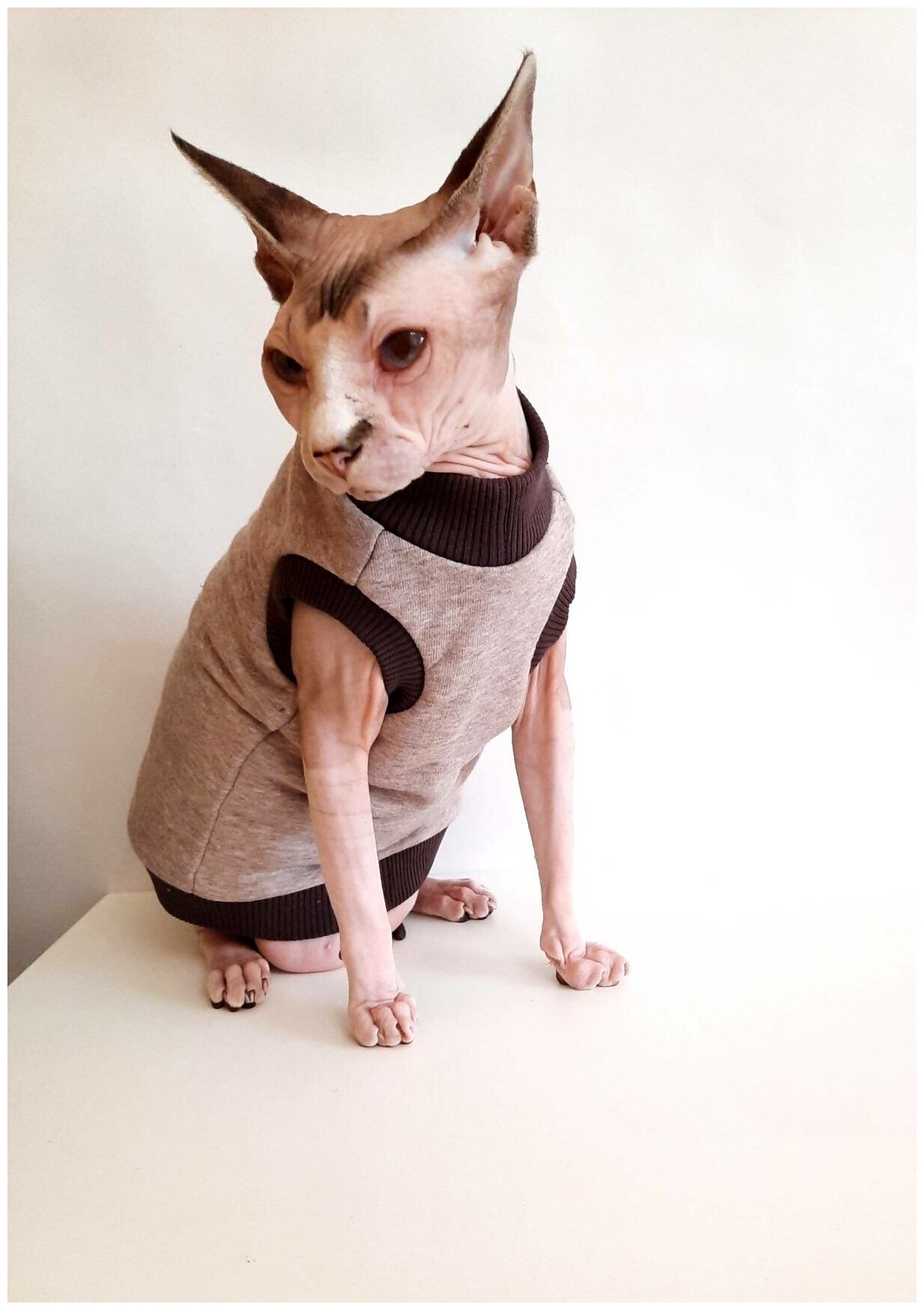 Свитшот для кошек, размер 30 (длина спины 30см), бежевый меланж+шоколад/ толстовка свитшот свитер для кошек сфинкс / одежда для животных - фотография № 12