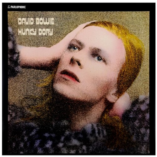 Warner Bros. David Bowie. Hunky Dory (виниловая пластинка) woodmansey woody mclver joel spider from mars my life with bowie