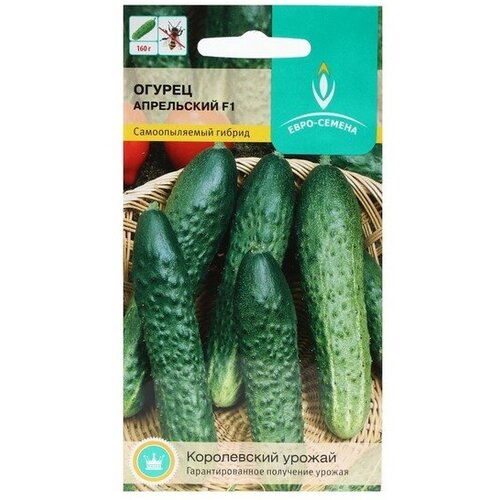 Семена Огурец Апрельский F1 цв/п 0,25 гр, партенокарпический 4 шт
