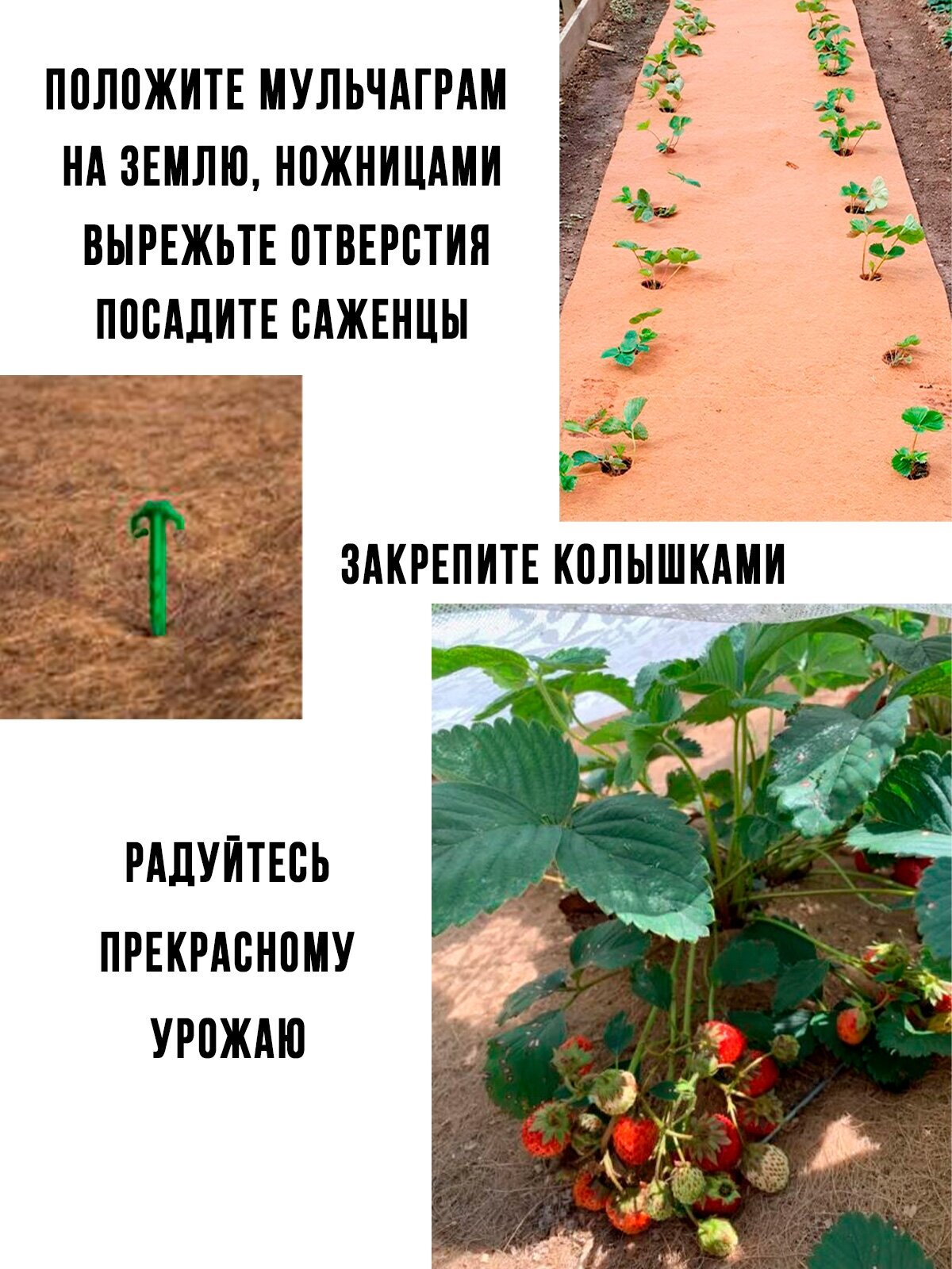 Мульча кокосовое волокно ГеоПластБорд, укрывной материал 0,75х3 метров - фотография № 3