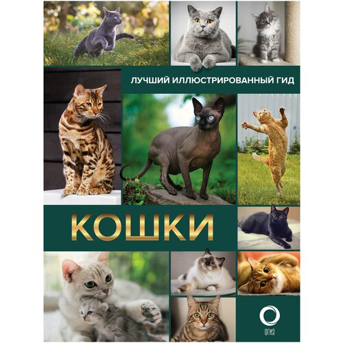 Кошки. Лучший иллюстрированный гид