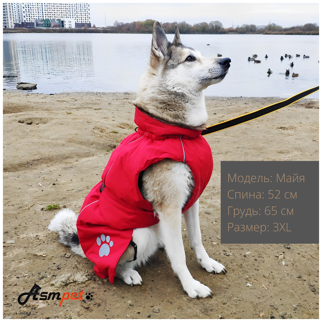 Попона для собак Asmpet Fur зимняя со шлейкой, р-р 3XL+, красная - фотография № 5