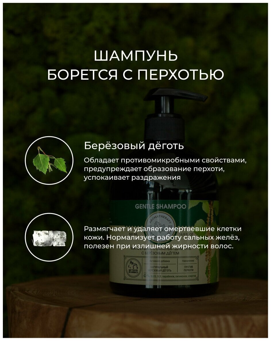 BATH&BANYA/ Шампунь 500мл без сульфатов и парабенов, натуральный, с берёзовым дёгтем, от перхоти, с дозатором