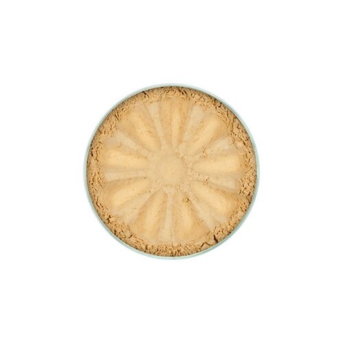 Dream Minerals Минеральная основа для нормальной кожи (тон 10), 5 г