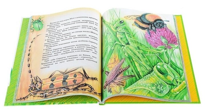 Большая книга сказок (Бианки Виталий Валентинович) - фото №5