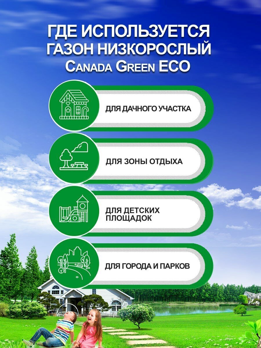 Газонная трава семена Канада Грин Низкорослый ECO 10 кг/ мятлик овсяница семена