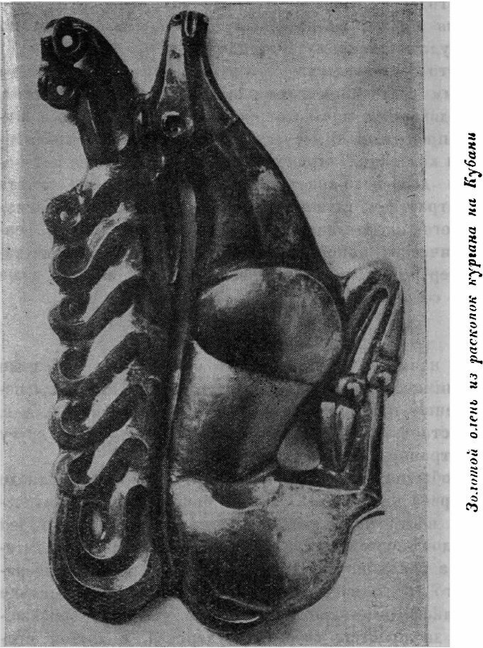 Книга Эрмитаж. Музей истории культуры и искусства - фото №7