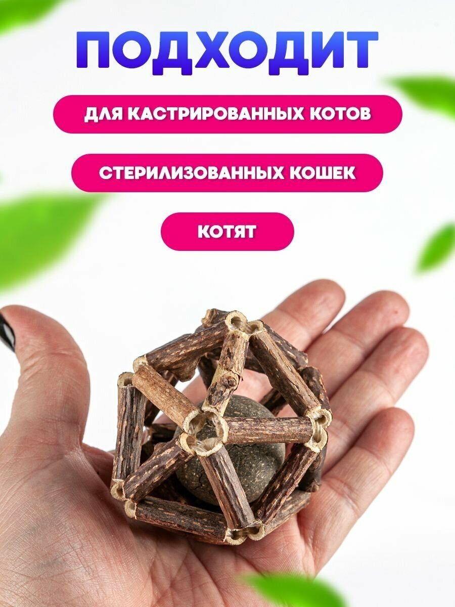 Игрушка лакомство для кошек, шарик из палочек мататаби и кошачьей мяты/ деревянный мячик для котов и котят - фотография № 7