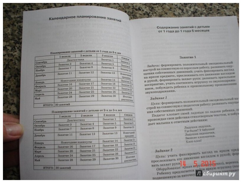 Цикл занятий по развитию речи у детей 1-3 лет с проблемами в развитии - фото №4