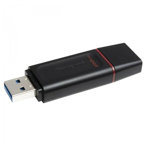 Флеш-диск USB 256Gb Kingston DataTraveler Exodia, USB3.2, черный (DTX/256GB) флеш диск usb 256gb kingston datatraveler exodia usb3 2 черный dtx 256gb