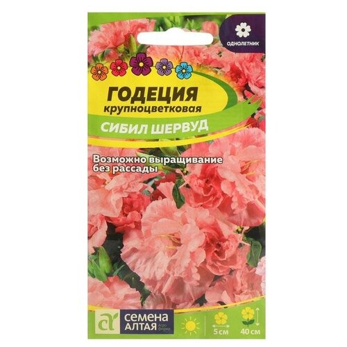 Семена цветов Годеция Сибил Шервуд, Сем. Алт, ц/п, 0,2 г семена цветов годеция метеор сем алт ц п 0 2 г