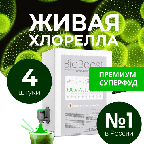 BioBoo.st живая хлорелла на кремниевой биосреде 4 курса 12л