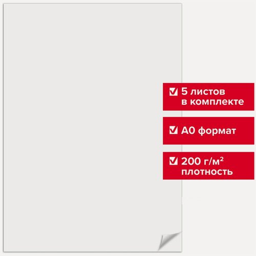 Изображение товара Ватман Brauberg, формат А0, 1200х840 мм, ГоЗнак С-Пб, плотность 200 г/м2, 5 листов