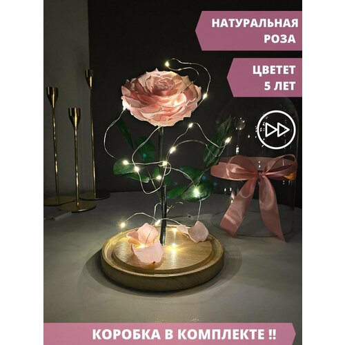 Роза в колбе с подсветкой