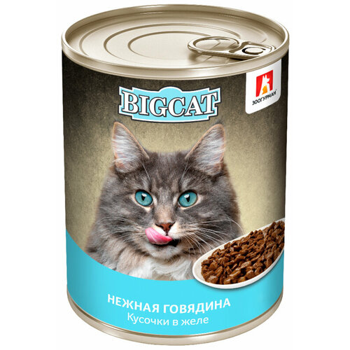 Корм Зоогурман Big Cat (в желе) для кошек, нежная говядина, 350 г x 12 шт