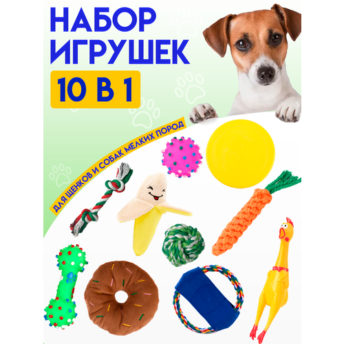 Набор игрушек для щенков и собак мелких пород, набор 10 шт