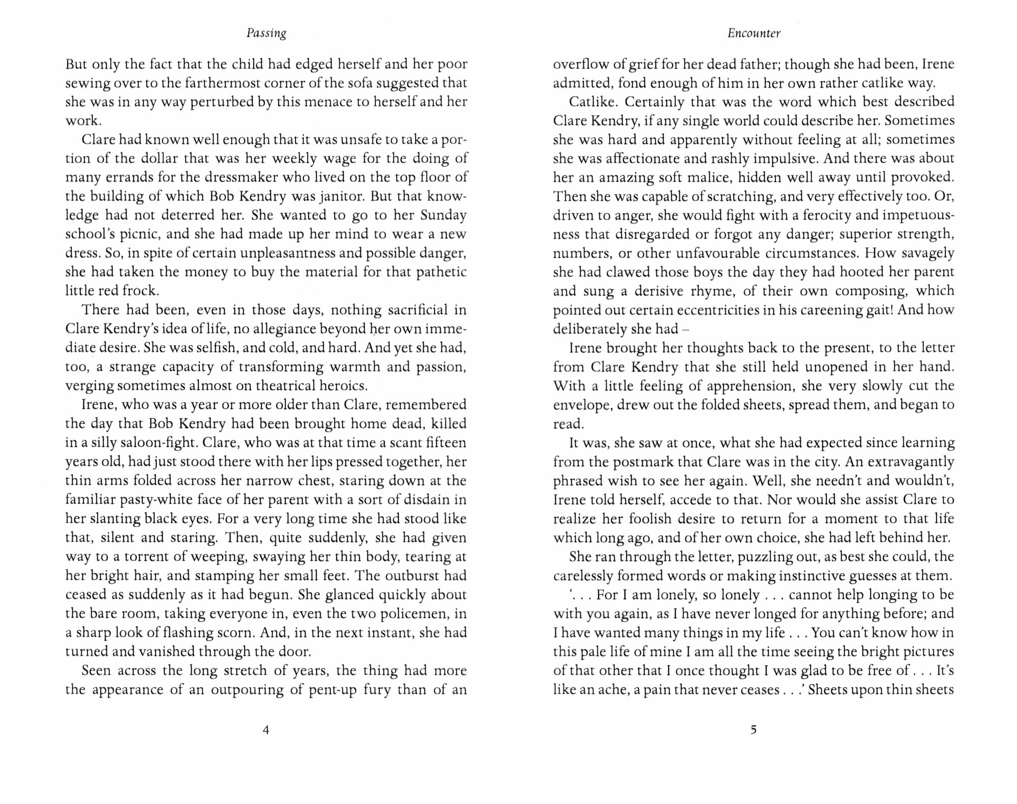 Passing / Книга на Английском (Larsen Nella) - фото №2