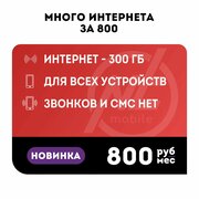 Много интернета за 800, трафик 300 ГБ во всех сетях, для всех устройств