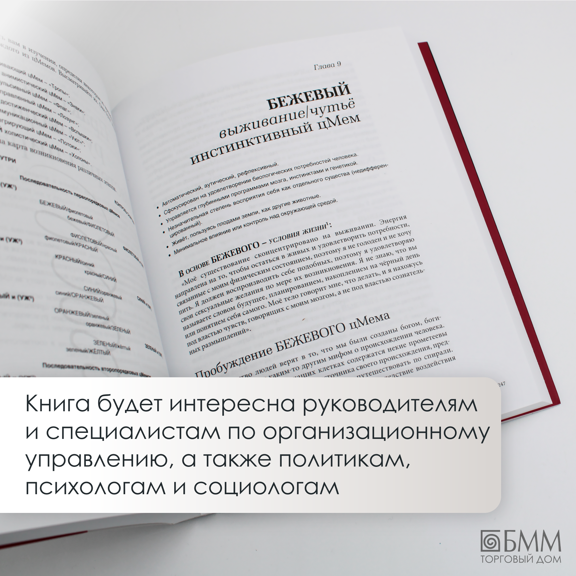 Спиральная динамика (Касьяненко Татьяна Геннадьевна, Краснова Анастасия Даминдаровна) - фото №14
