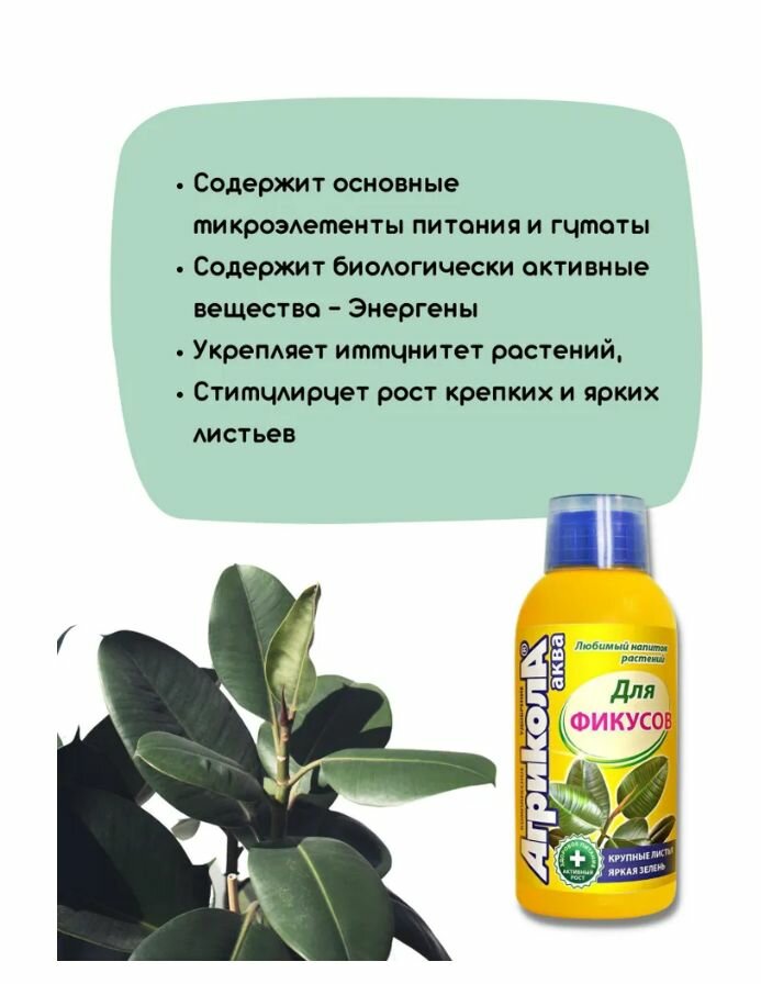 Агрикола Аква для фикусов 250 мл — фото 1