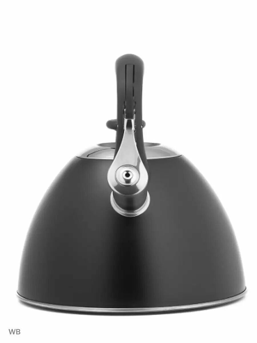 Чайник со свистком — фото 1