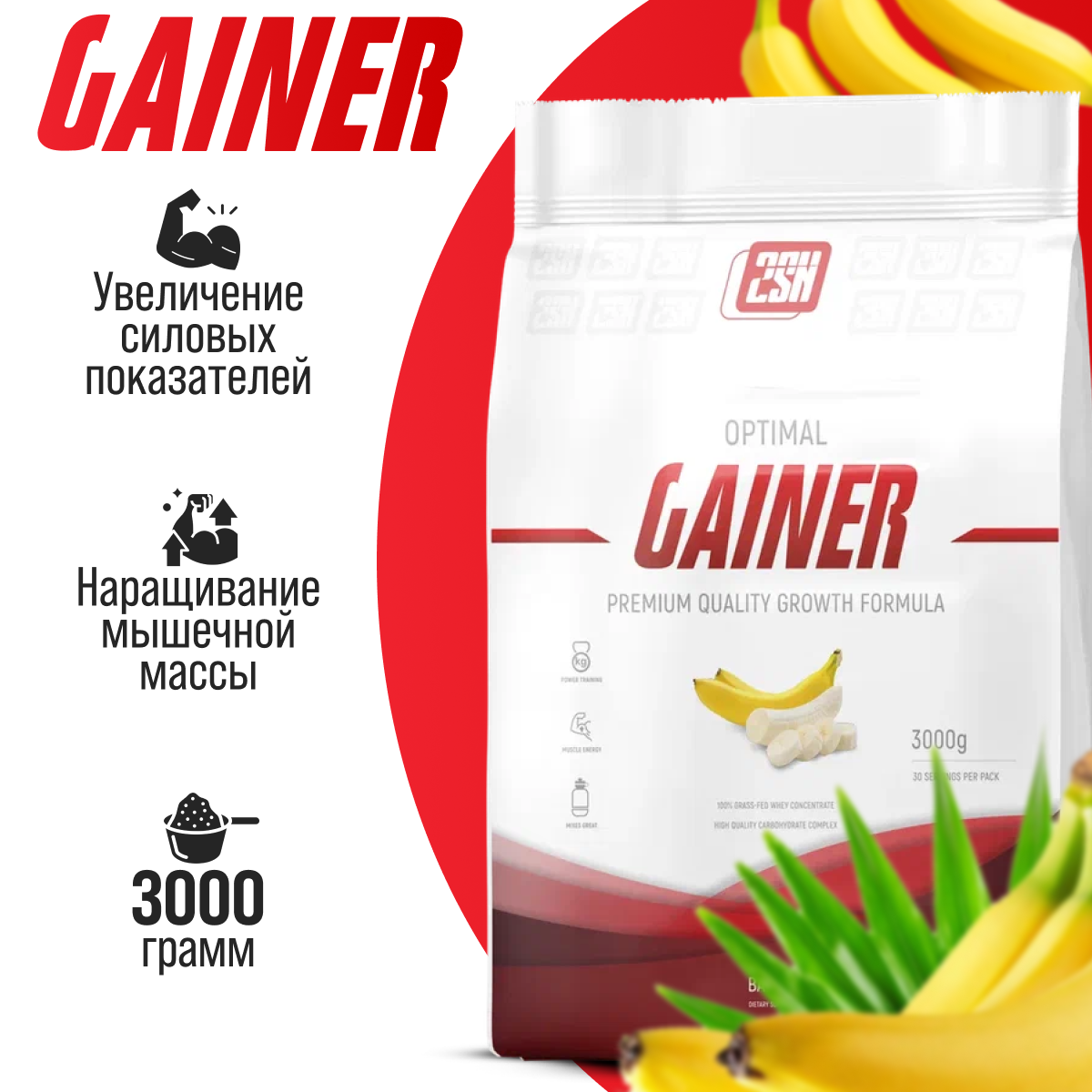 Гейнер для набора мышечной массы 2SN Gainer 3000г (Банан)