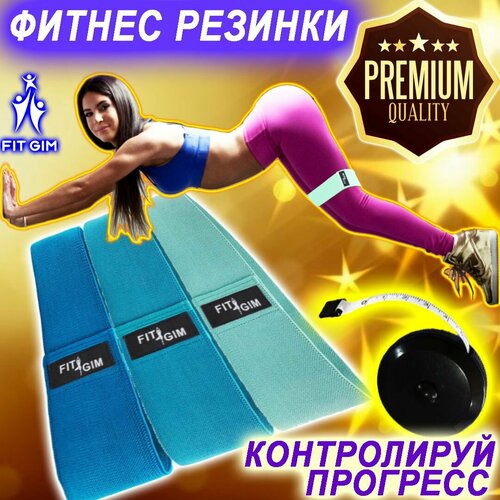 Резинки для фитнеса FIT GIM, 3 шт (10, 17, 25 кг), тканевые, голубой, лазурный, синий