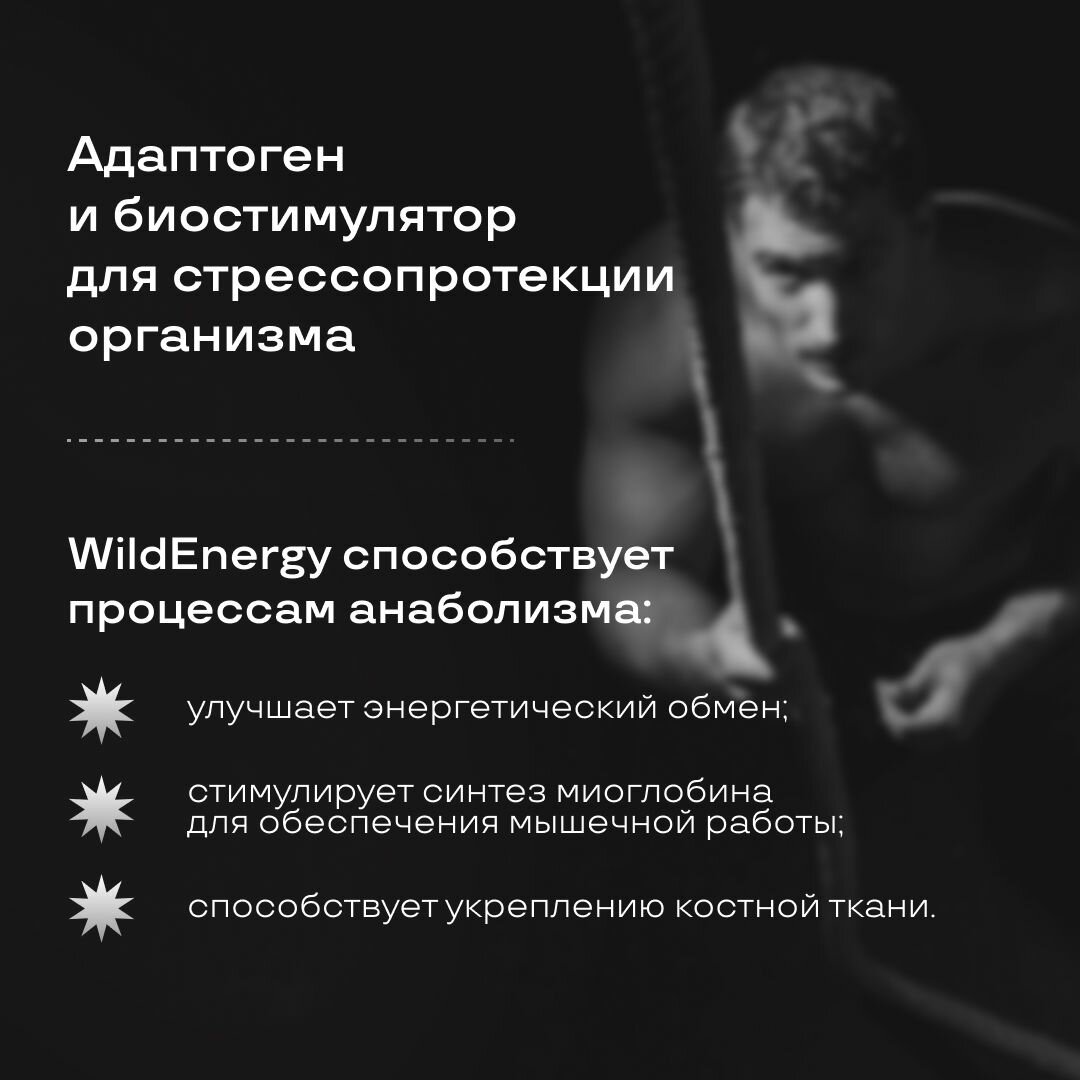 Картинки Комплексный адаптоген и биостимулятор WildEnergy PreventEra, стимуляция синтеза белка, повышение иммунитета, увеличение энергии и улучшение когнитивных функций, 30 капсул