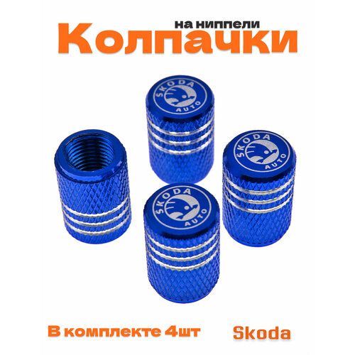 фото Колпачки на ниппель для skoda
