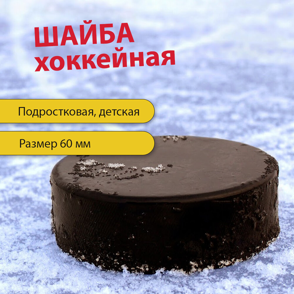 Шайба хоккейная для детей и подростков размер 60 мм 2 шт резина