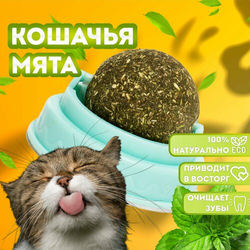 Мята для кошек - 2шт Шарик с мятой 389₽