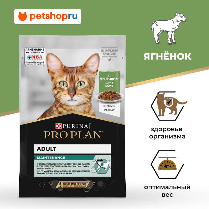 Набор паучей PRO PLAN® для взрослых кошек, с ягненком в желе, MAINTENANCE