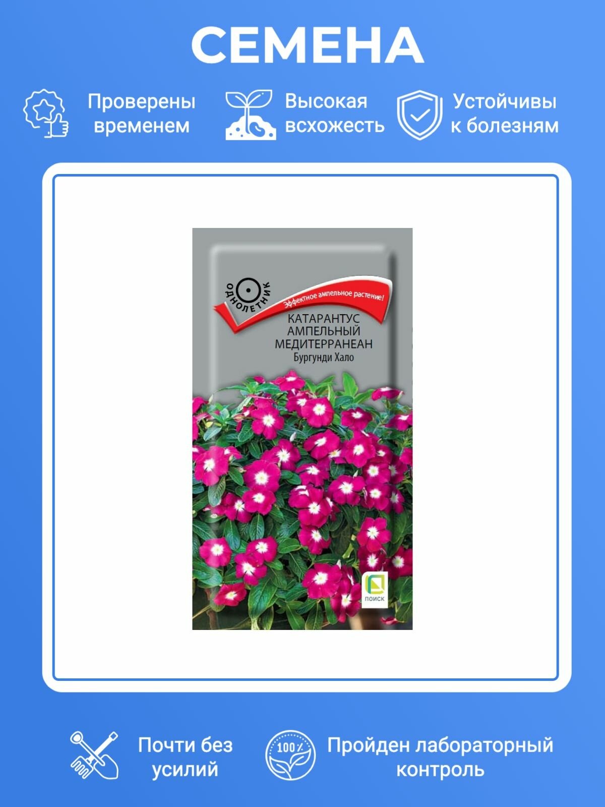 Семена катарантуса ампельного Медитерранеан Бургунди Хало