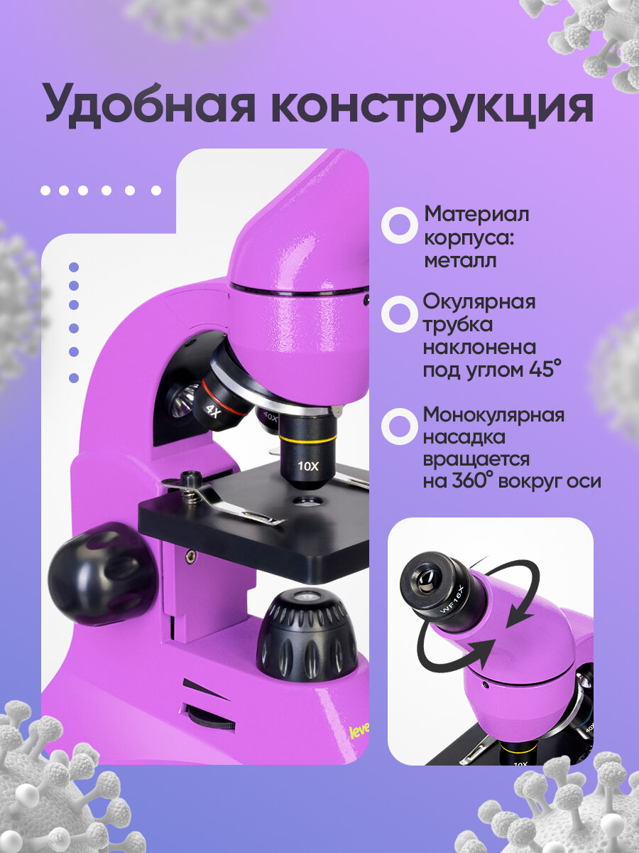 Микроскоп Levenhuk Rainbow 50L PLUS Amethyst Аметист — фото 1