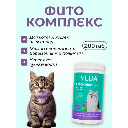 фото Витамины veda фитомины форте для зубов и костей 200 таблеток. веда фитокомплекс для кошек