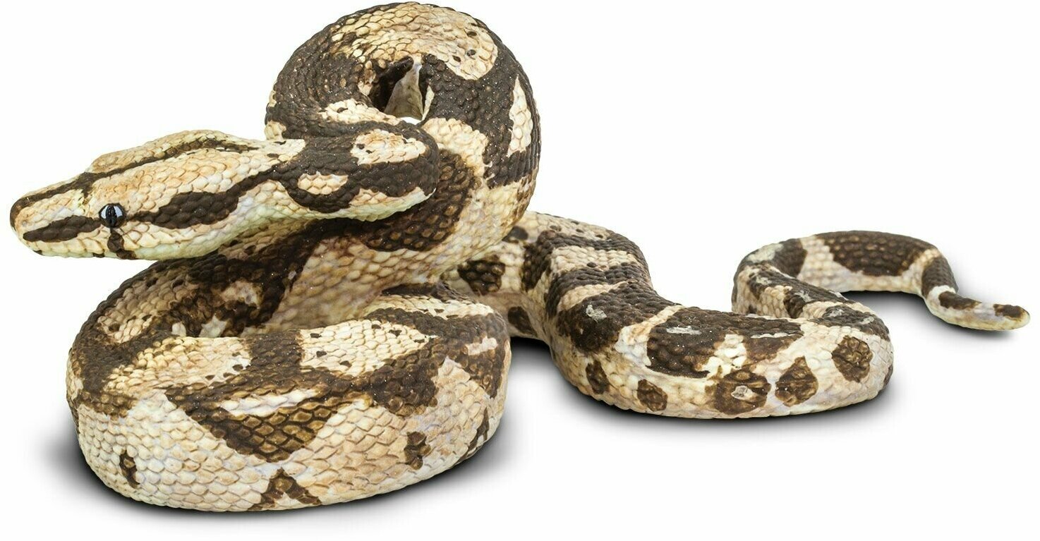 Фигурка животного змеи Safari Ltd Обыкновенный удав, для детей, игрушка коллекционная, 266529
