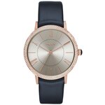 Наручные часы DKNY NY2546 - изображение