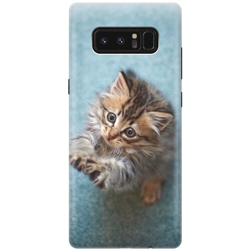 RE: PA Накладка Transparent для Samsung Galaxy Note 8 с принтом Котёнок на голубом re pa накладка transparent для nokia 8 1 с принтом котёнок на голубом