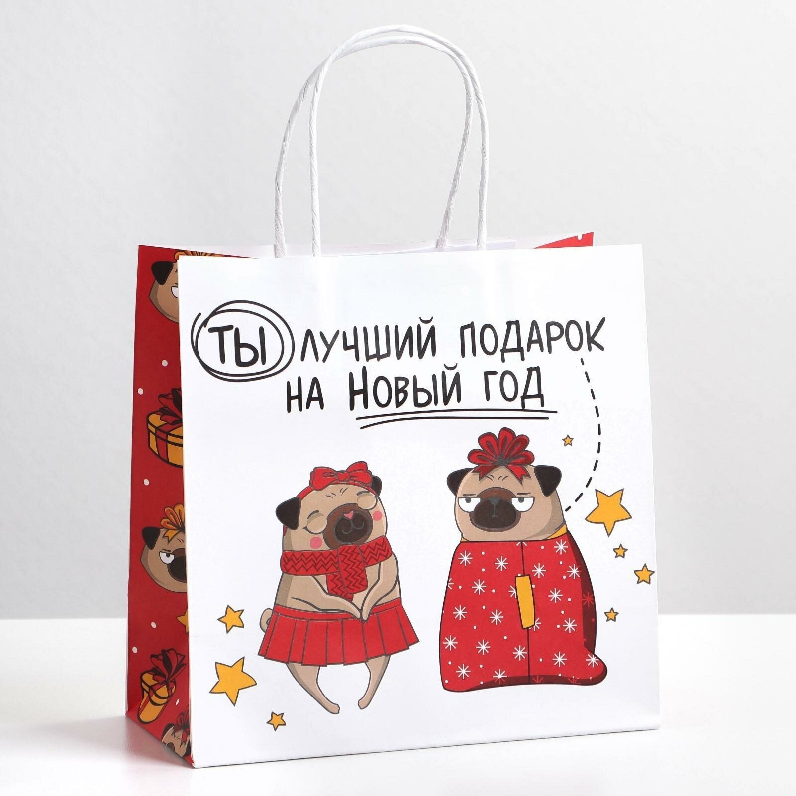 Подарочный пакет «Ты - лучший подарок», 22 х 22 х 11 см, крафт, для упаковки подарка на Новый год — фото 1