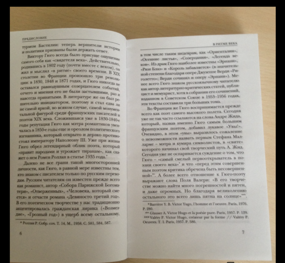 Что я видел. Эссе и памфлеты (Гюго Виктор Мари) - фото №5