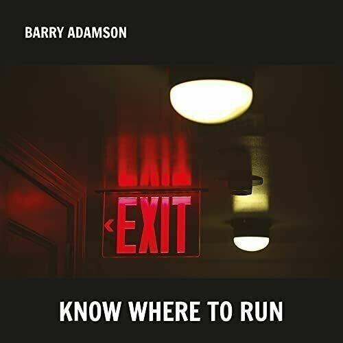 Виниловая пластинка Barry Adamson – Know Where To Run (Coloured) LP