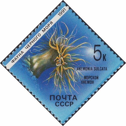 (1991-002) Марка СССР Морской анемон Фауна Чёрного моря III Θ