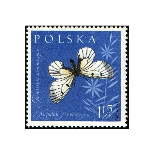 (1961-066) Марка Польша Мнемозина Насекомые II Θ 1963 017 марка монголия лимонница насекомые бабочки ii θ